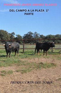 DEL CAMPO A LA PLAZA 1ª PARTE