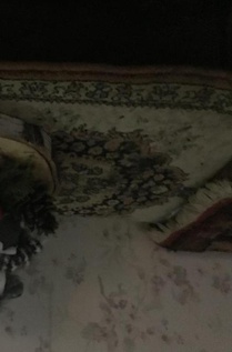 het meisje dat kerst vierd