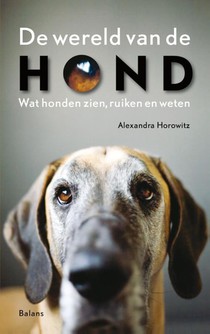 De wereld van de hond