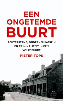 Een ongetemde buurt voorzijde