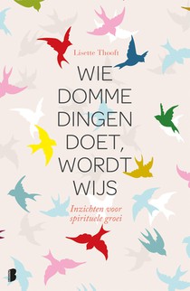 Wie domme dingen doet wordt wijs