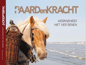 Paardenkracht voorzijde