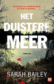 Het duistere meer