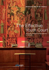 The effective youth court