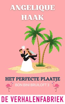 Het perfecte plaatje voorzijde