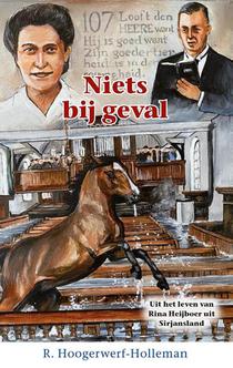 Niets bij geval