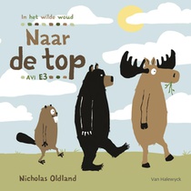 Naar de top