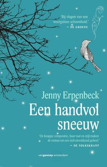 Een handvol sneeuw