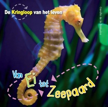 Van ei tot zeepaardje