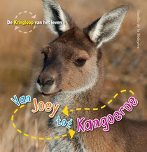 Van Joey tot kangoeroe voorzijde