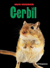 Gerbil
