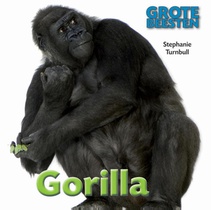 Gorilla voorzijde