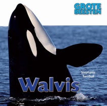 Walvis voorzijde