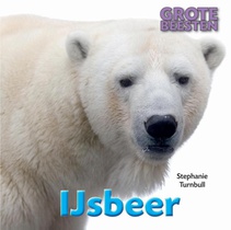 IJsbeer voorzijde