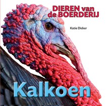 Kalkoen voorzijde