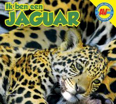 Jaguar voorzijde