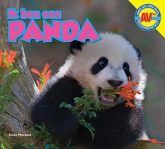 Panda voorzijde