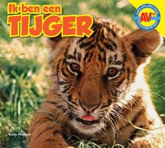 Tijger