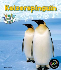 Keizerspinguin voorzijde