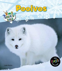 Poolvos