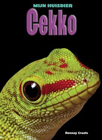 Gekko voorzijde