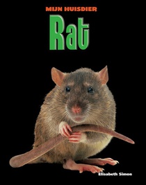 Rat voorzijde