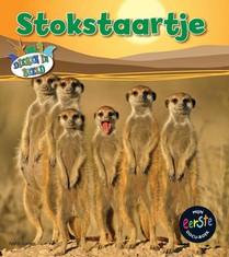 Stokstaartje