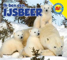 IJsbeer voorzijde