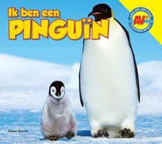 Pinguïn