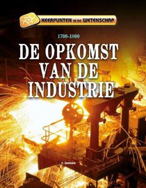 De opkomst van de industrie