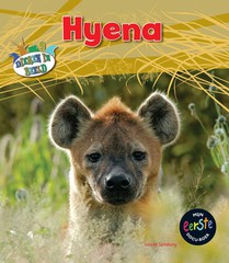 Hyena voorzijde