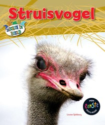 Struisvogel voorzijde