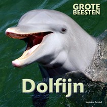 Dolfijn voorzijde