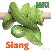 Slang voorzijde