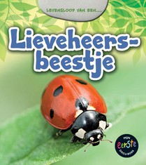 Lieveheersbeestje