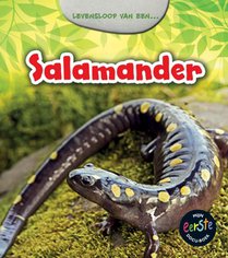 Salamander voorzijde