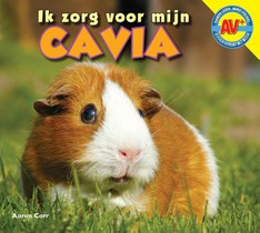 Cavia voorzijde