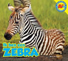 Zebra voorzijde