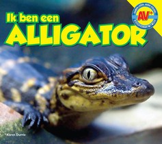 Alligator voorzijde