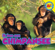 Chimpansee voorzijde