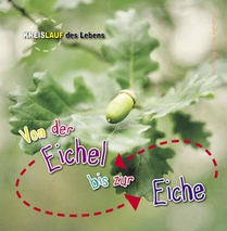 Von der Eichel zur Eiche