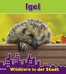 Igel voorzijde