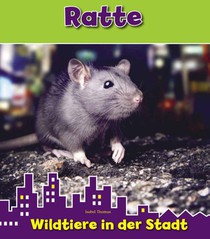 Ratte voorzijde