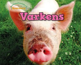 Varkens