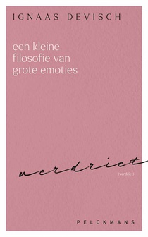 Een kleine filosofie van grote emoties: Verdriet