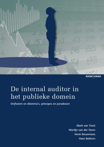 De internal auditor in het publieke domein voorzijde