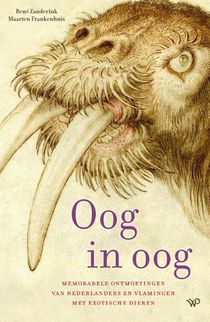 Oog in oog