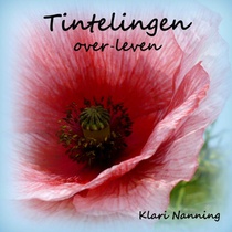 Tintelingen