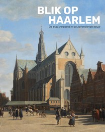 Blik op Haarlem voorzijde