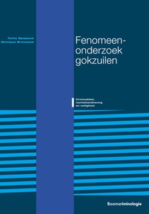 Fenomeenonderzoek gokzuilen
